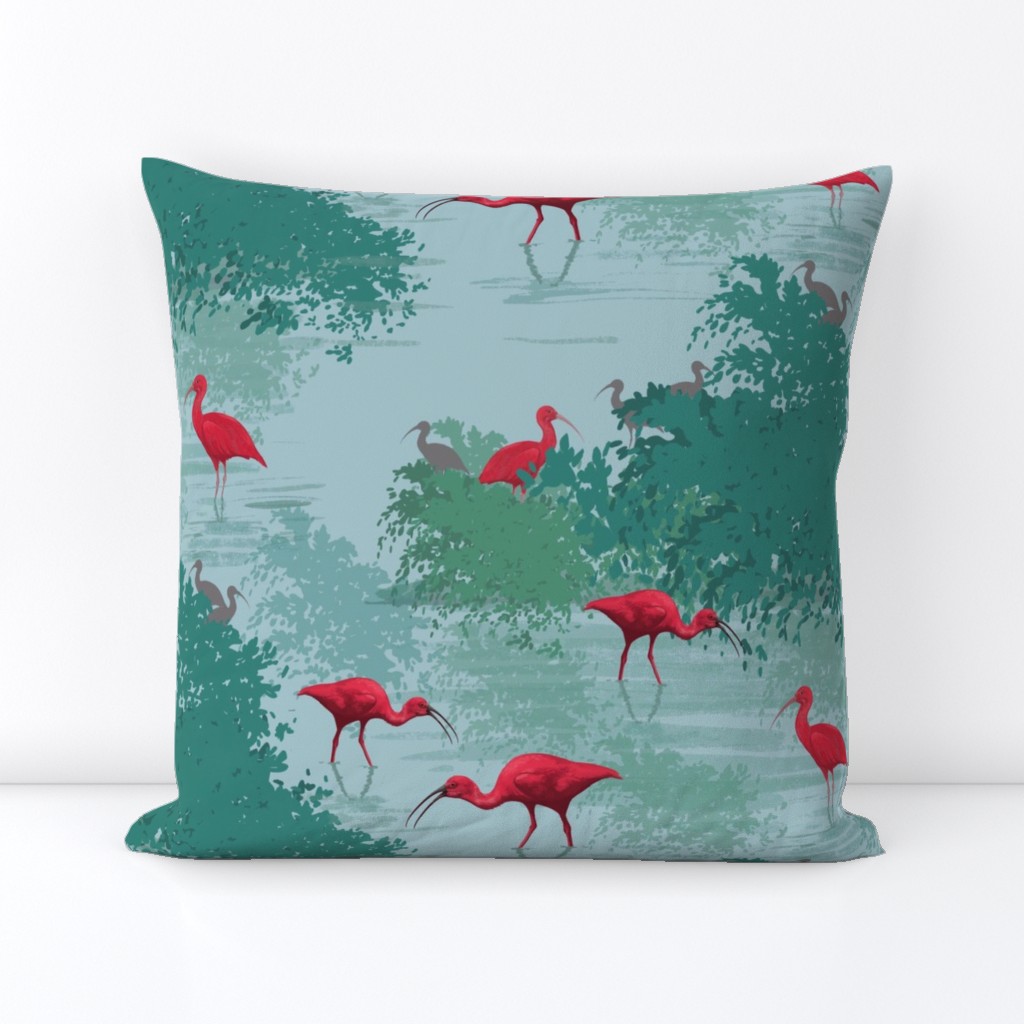 Scarlet ibis 