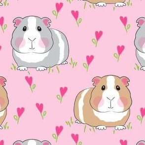 large guinea pigs with pink heart flowers on pink