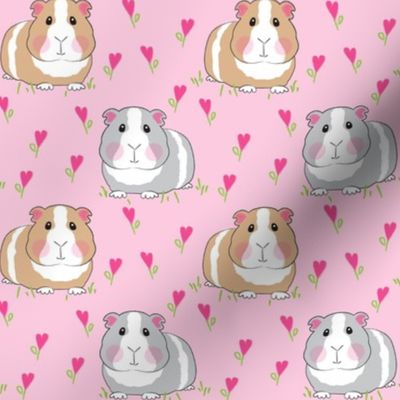 medium guinea pigs with pink heart flowers on pink