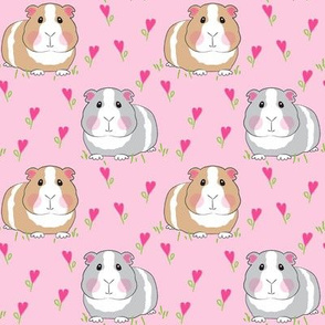 medium guinea pigs with pink heart flowers on pink