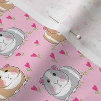 small guinea pigs with pink heart flowers on pink