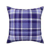 Very Peri purple tartan plaid