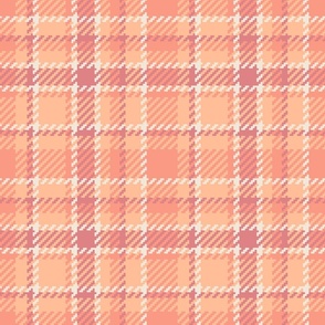 Peach fuzz Retro pastel Tartan Plaid