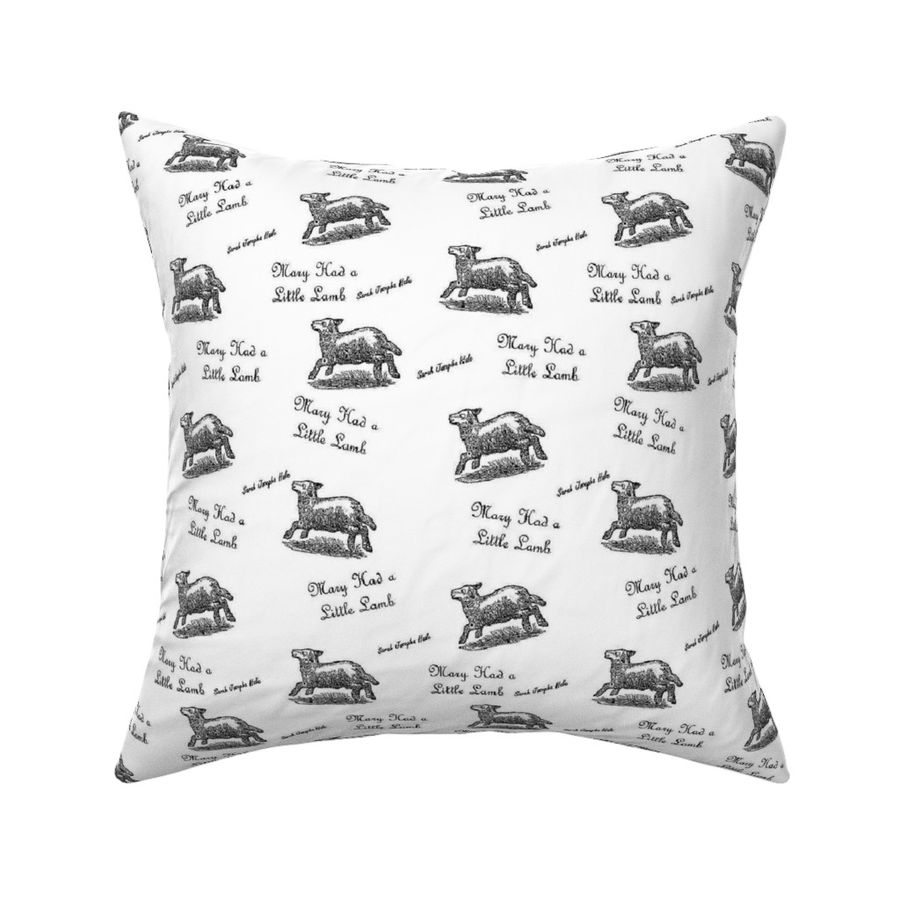 HOME_GOOD_SQUARE_THROW_PILLOW