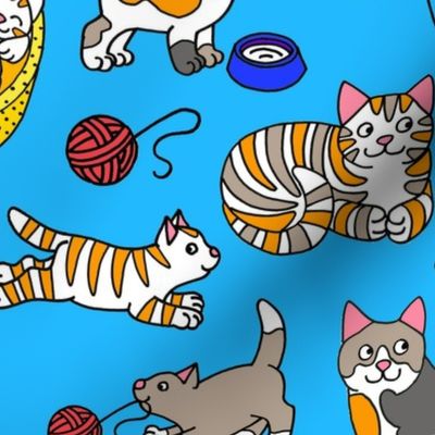 color cats