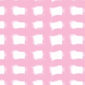 Pretty in Pink Gingham-Pastel