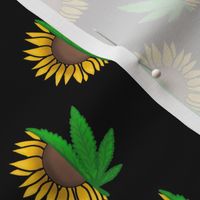 weed sunflower cannabis