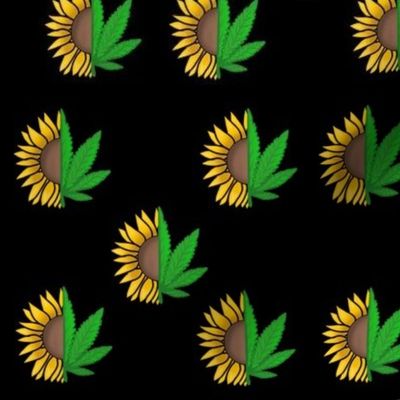 weed sunflower cannabis