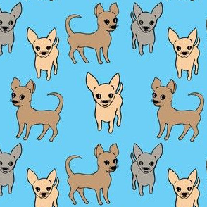 Chihuahua chihuahuas - color on turquoise