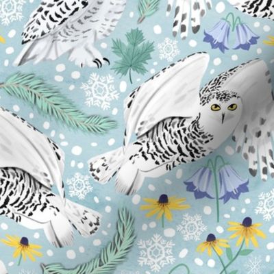 Snowy Owls on a Snowy Day - Soft Blue Background