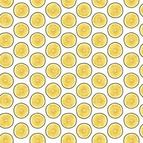 Lemon yellow citrus slices on white