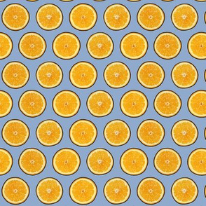 Orange citrus slices on blue