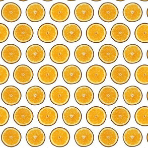 Orange Slices on White, Medium