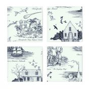 The Eastern Shore of Virginia, a history in toile