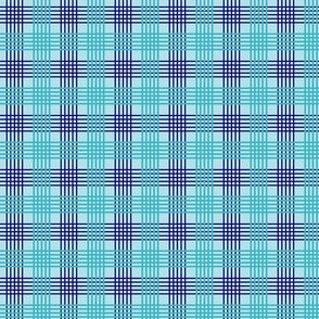 Blue Plaid small