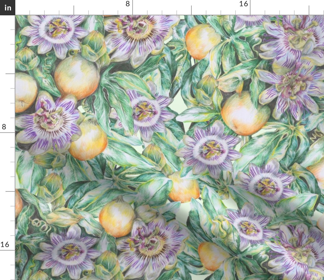 Passiflora pattern