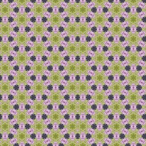 Lavender 3  pattern