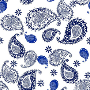Paisley indigo pattern