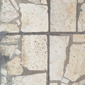 limestone mosaic nature