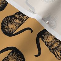 The Cheshire Cat from Alice in Wonderland in Black with Light Gold Background