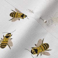 Honey Bees everywhere - Textured Illustration / Painting on white background