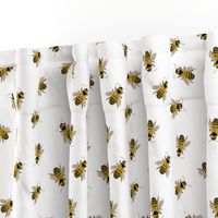 Honey Bees everywhere - Textured Illustration / Painting on white background