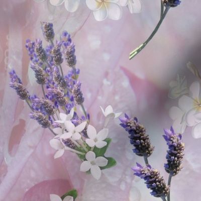 Tuberose , lavenders, rose petals flowers used in fragrant aromatherapy oils 