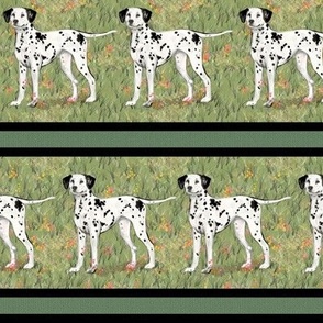 Dalmatian in Wildflower Field Stripe