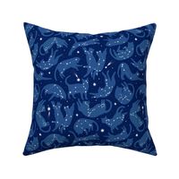 small  scale / cat constellations blue