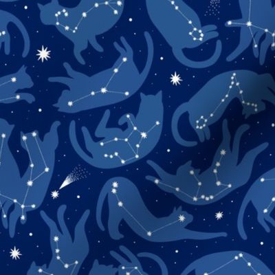 small  scale / cat constellations blue