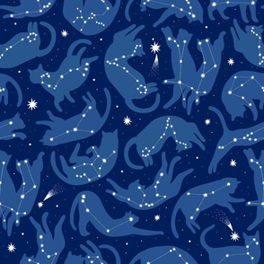 small  scale / cat constellations blue