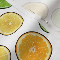 Citrus Fruit Slices on White, Large