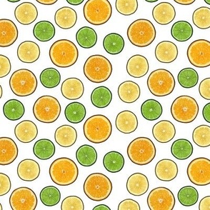 Citrus slices, lemons limes and oranges on white
