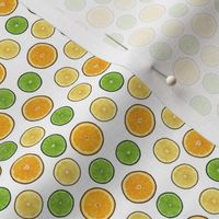 Citrus Fruit Slices on White, Small