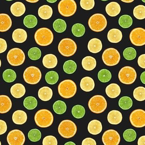 Citrus slices, lemons limes and oranges on black