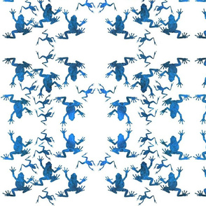 Animal Reflections - frogs - crystal water blue on white, medium 