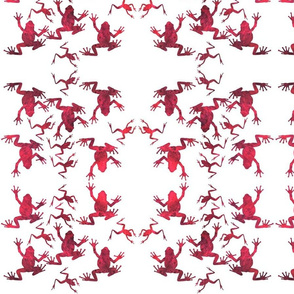 Animal Reflections - frogs - crimson fuchsia on white, medium 