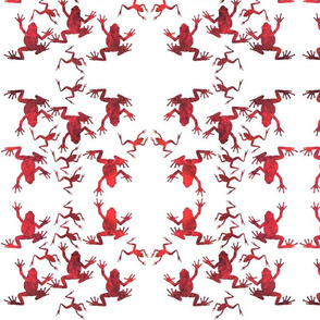 Animal Reflections - frogs - Ruby red on white, medium 