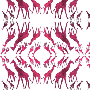 Animal Reflections - giraffes - fuchsia pink on white, medium 