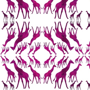 Animal Reflections - giraffes - magenta pink on white, medium 