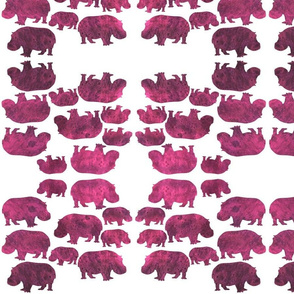 Animal Reflections - hippopotamus - magenta pink on white, medium 