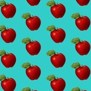 Red apple on turquoise