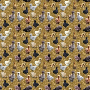 Silkie Bantam Chickens on Glitter-look background