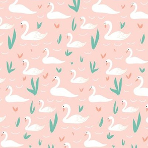 swans on pink