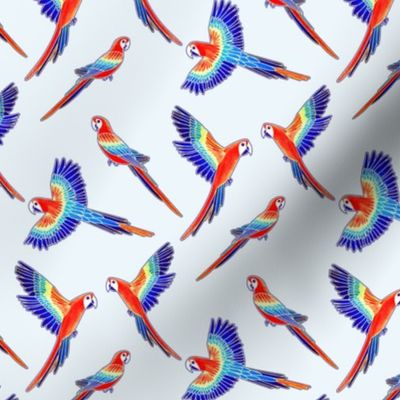 Red Macaws - on White (Small Version - Coordinate Pattern)