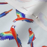 Red Macaws - on White (Small Version - Coordinate Pattern)