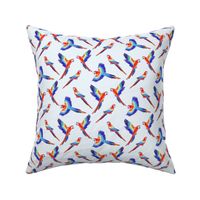 Red Macaws - on White (Small Version - Coordinate Pattern)