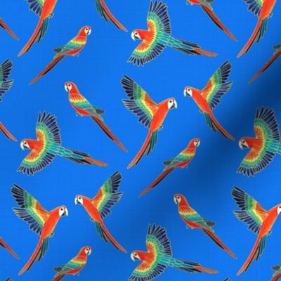 Red Macaws - Electric Blue  (Small Version - Coordinate Pattern)