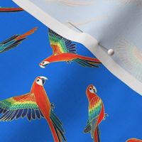 Red Macaws - Electric Blue  (Small Version - Coordinate Pattern)