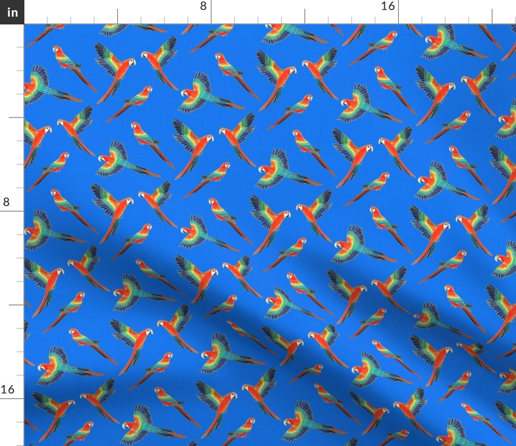 Red Macaws - Electric Blue  (Small Version - Coordinate Pattern)